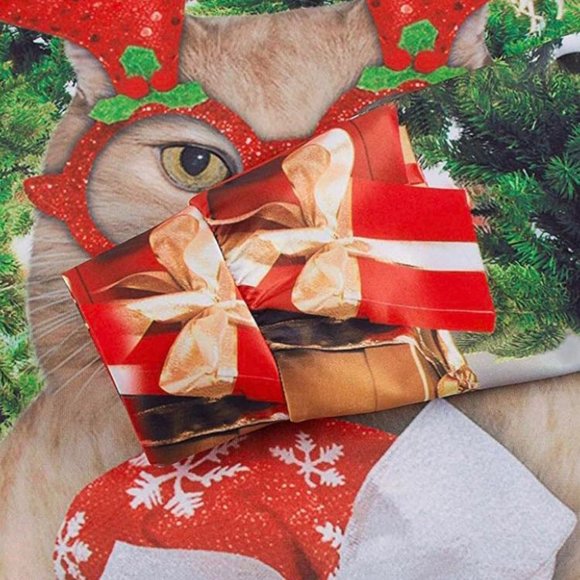 Unisex Christmas Sweater for Women Pullover Reindeer Cat Crewneck Long Sleeve - Picture 3 of 3